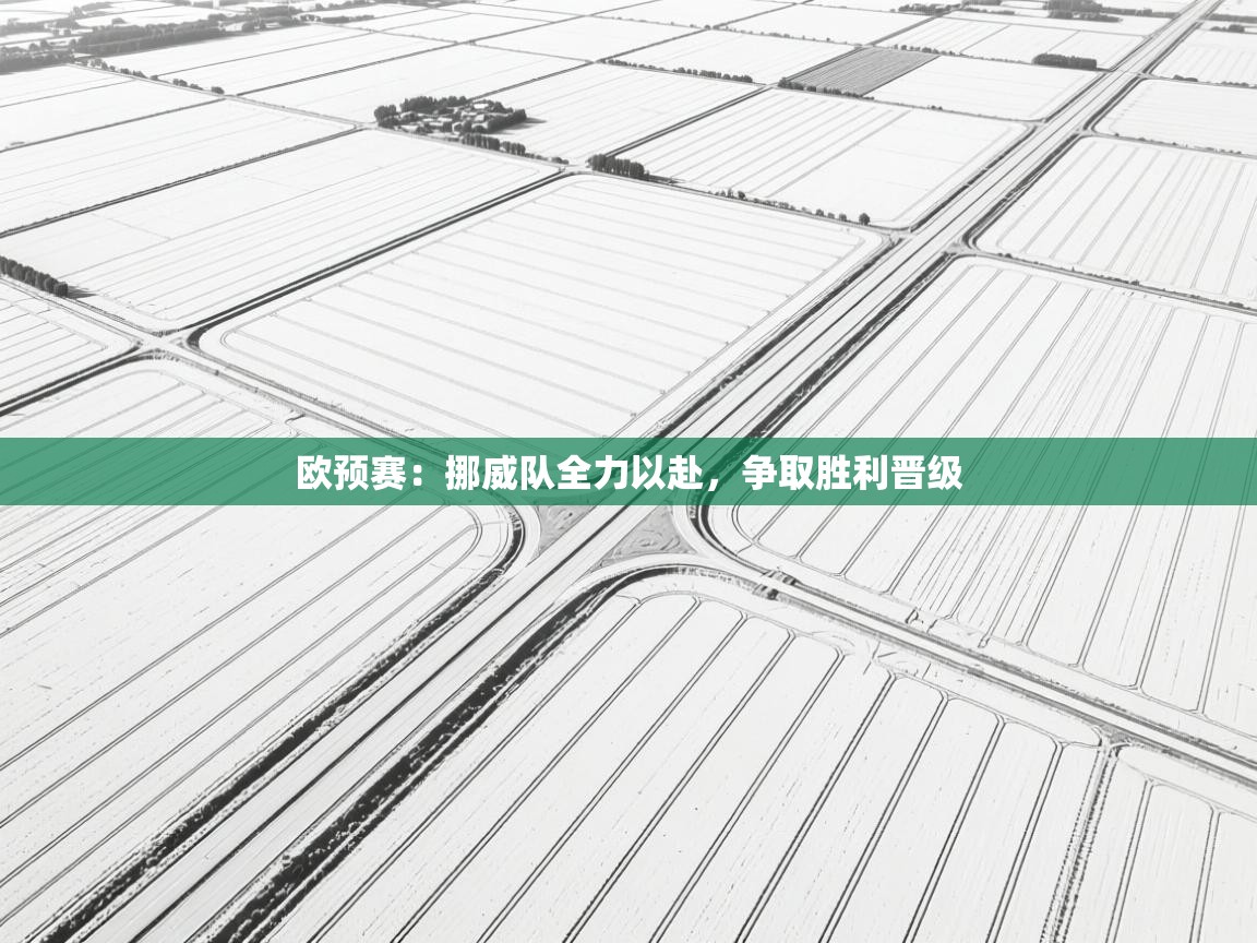 欧预赛：挪威队全力以赴，争取胜利晋级