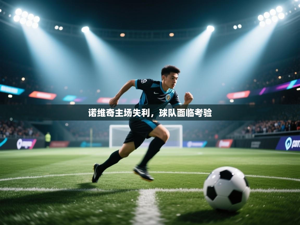 诺维奇主场失利，球队面临考验  第2张