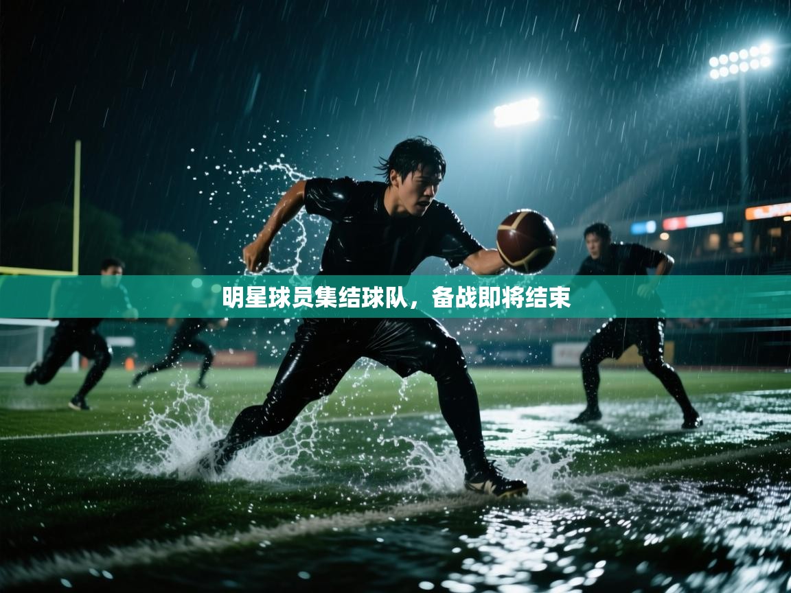 明星球员集结球队，备战即将结束  第2张