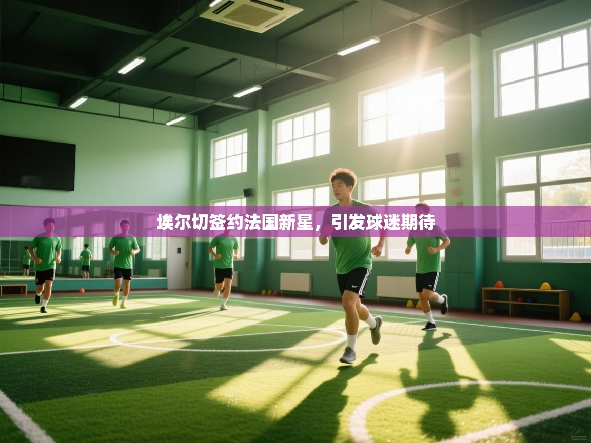 埃尔切签约法国新星，引发球迷期待