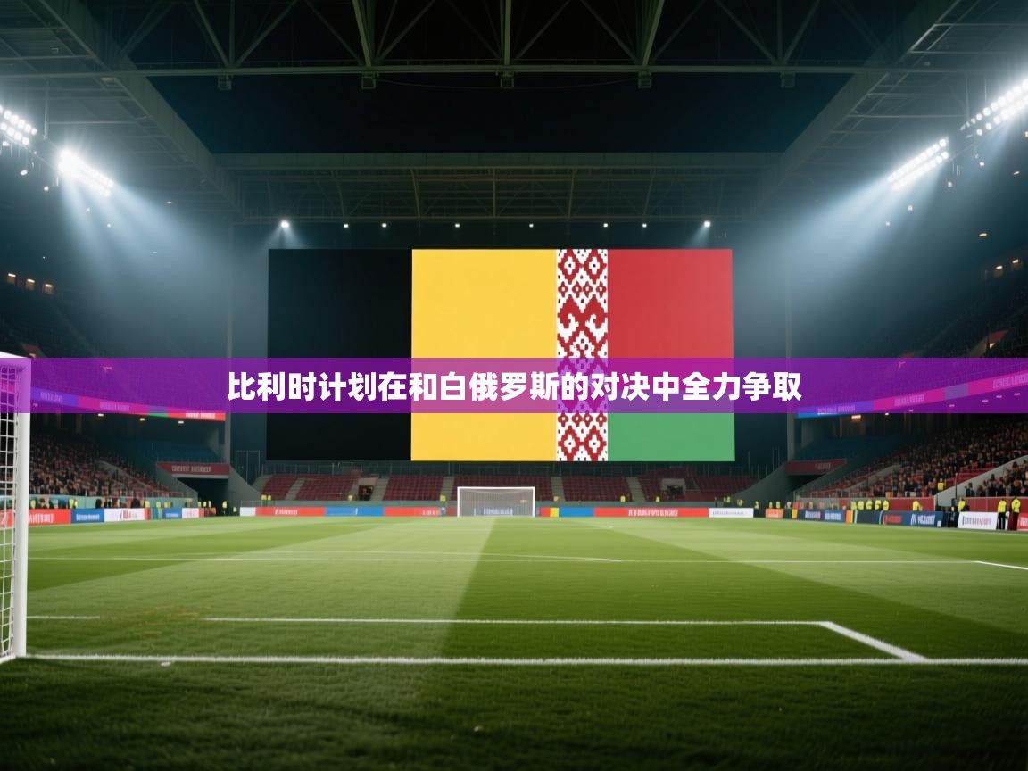 比利时计划在和白俄罗斯的对决中全力争取 第2张